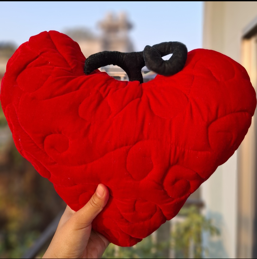 Law Devil Fruit Cusion